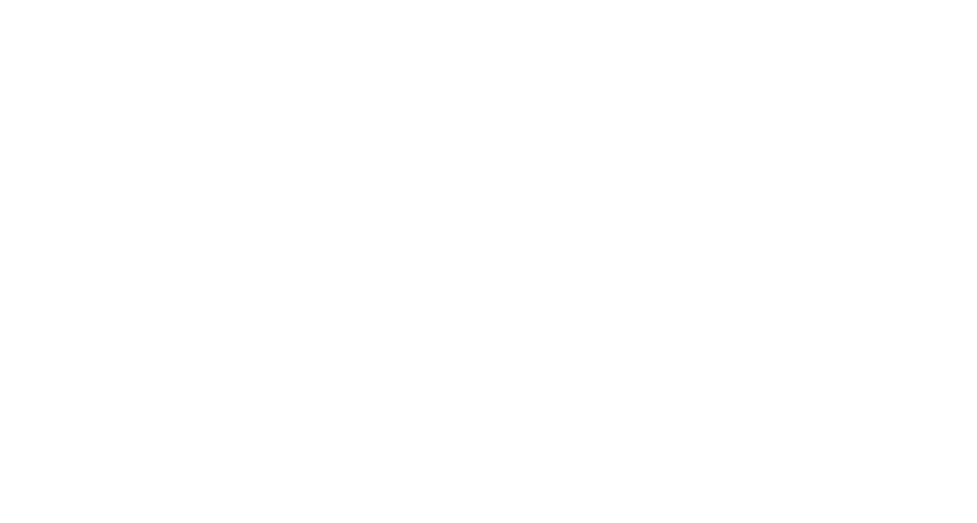 世界から日本へ、最適解の人財を TO THAT ISSUE,THE BEST SOLUTION.